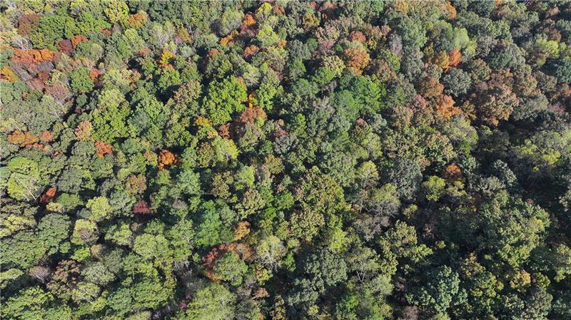 Image for property 175 Hall Memorial Road, Calhoun, GA 30701