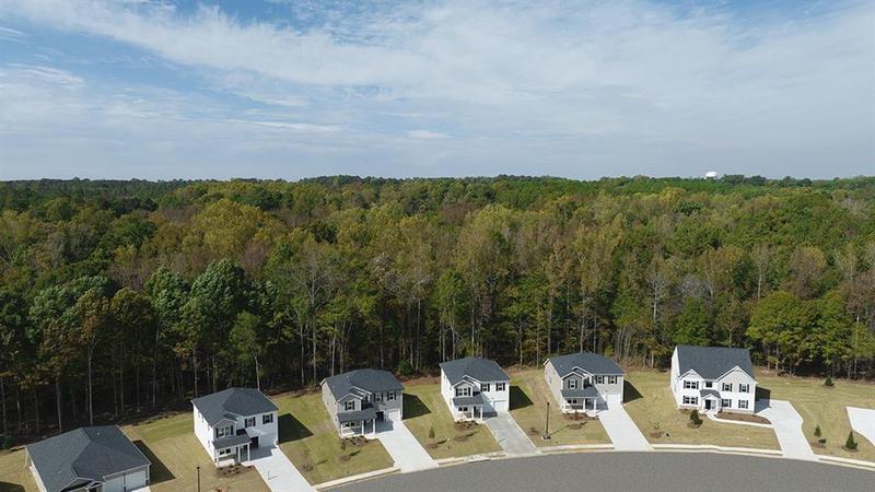 Image for property 142 Oakchase Park Lane, Hampton, GA 30228