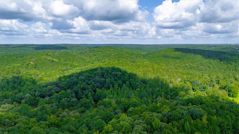 Image for property 3120 High Shoals Road, Dallas, GA 30132