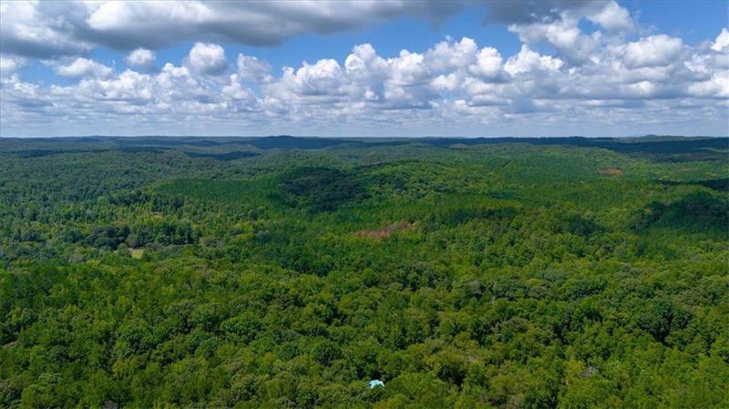 Image for property 3120 High Shoals Road, Dallas, GA 30132