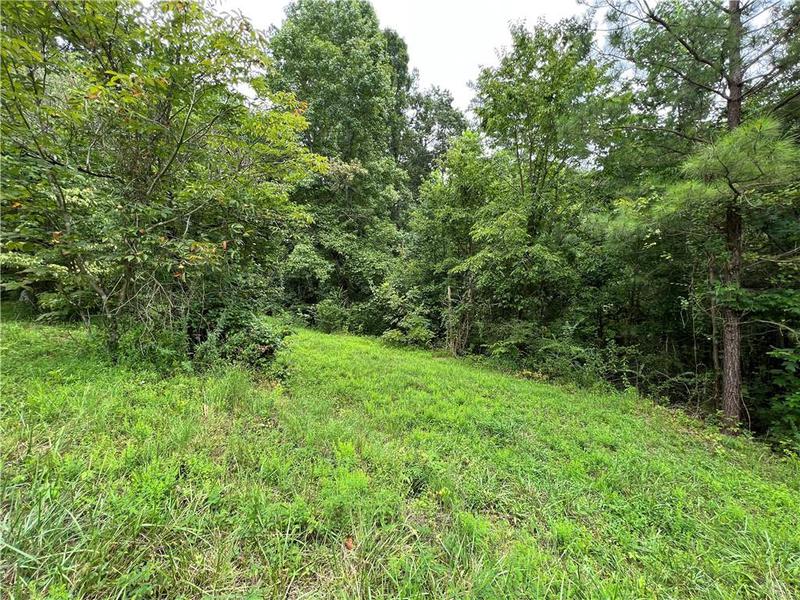 Image for property 0 Pinyan Road, Ranger, GA 30734