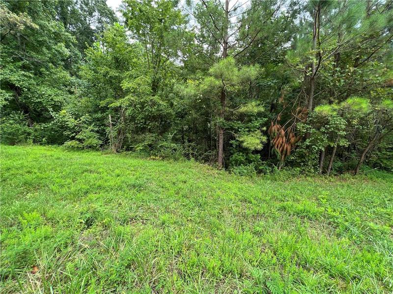 Image for property 0 Pinyan Road, Ranger, GA 30734