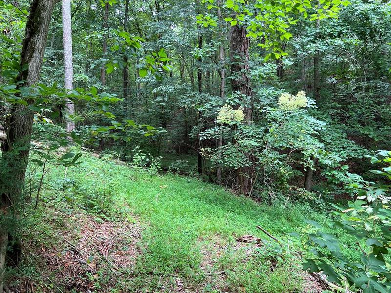 Image for property 0 Pinyan Road, Ranger, GA 30734