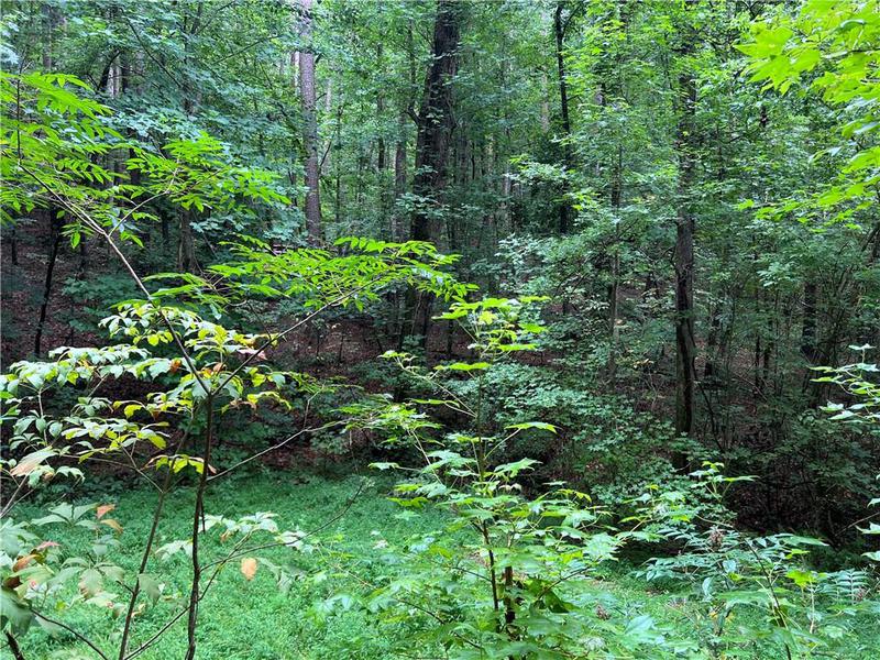 Image for property 0 Pinyan Road, Ranger, GA 30734