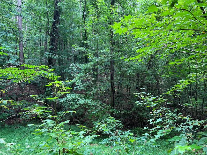 Image for property 0 Pinyan Road, Ranger, GA 30734