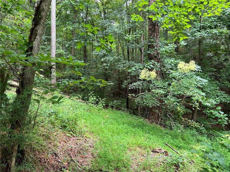 Image for property 0 Pinyan Road, Ranger, GA 30734
