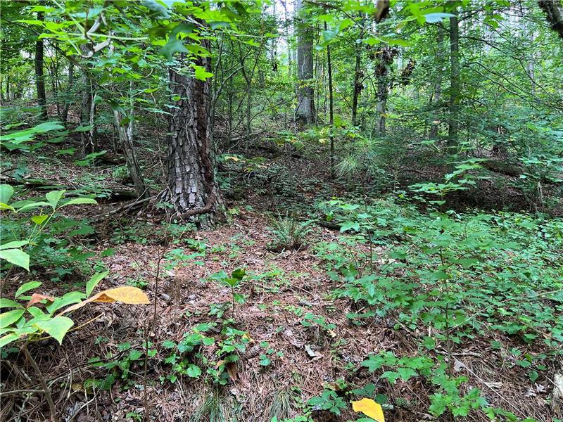 Image for property 0 Pinyan Road, Ranger, GA 30734