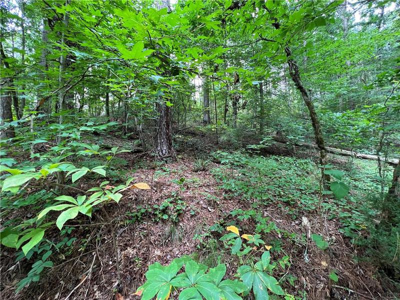 Image for property 0 Pinyan Road, Ranger, GA 30734