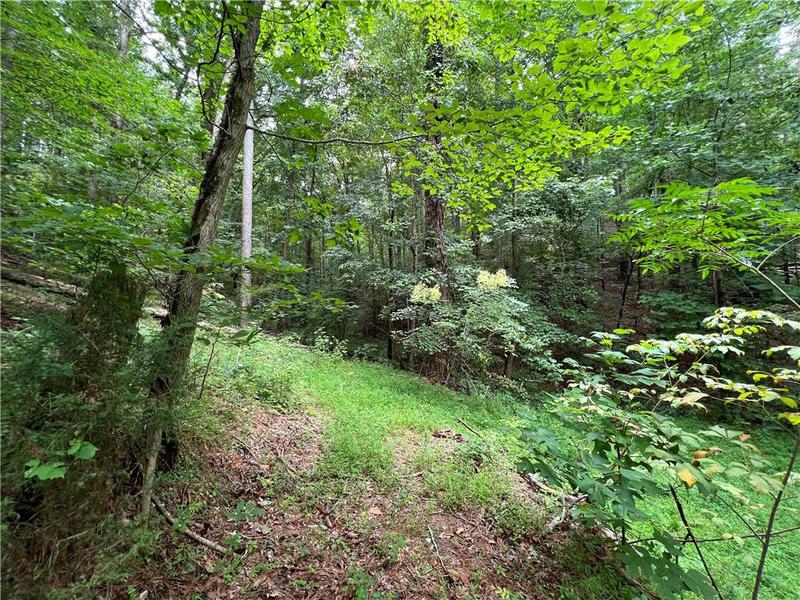 Image for property 0 Pinyan Road, Ranger, GA 30734