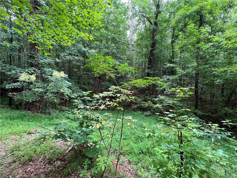 Image for property 0 Pinyan Road, Ranger, GA 30734