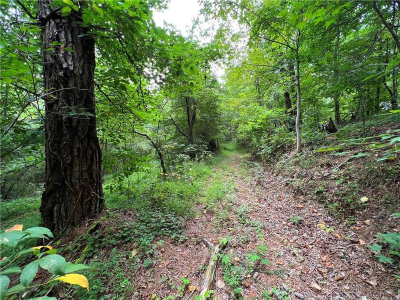 Image for property 0 Pinyan Road, Ranger, GA 30734