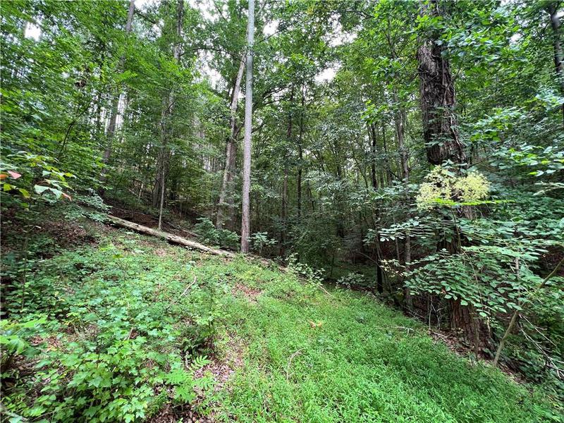 Image for property 0 Pinyan Road, Ranger, GA 30734