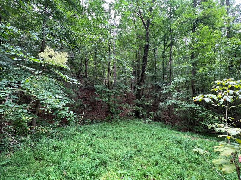 Image for property 0 Pinyan Road, Ranger, GA 30734