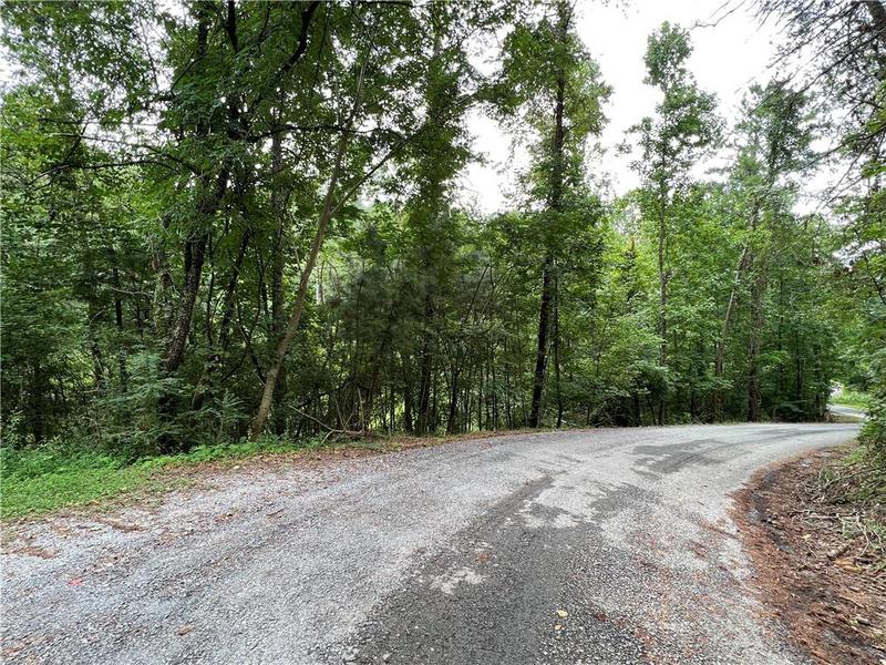 Image for property 0 Pinyan Road, Ranger, GA 30734