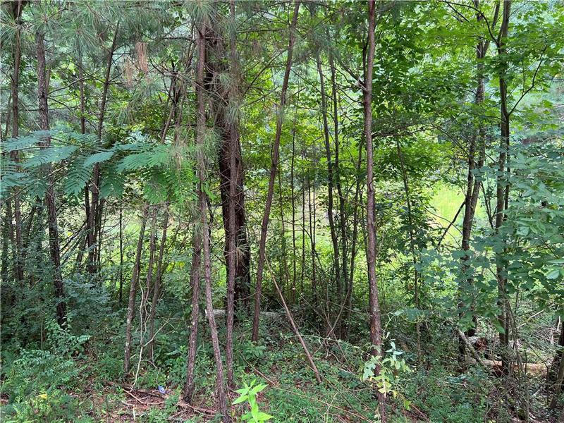 Image for property 0 Pinyan Road, Ranger, GA 30734