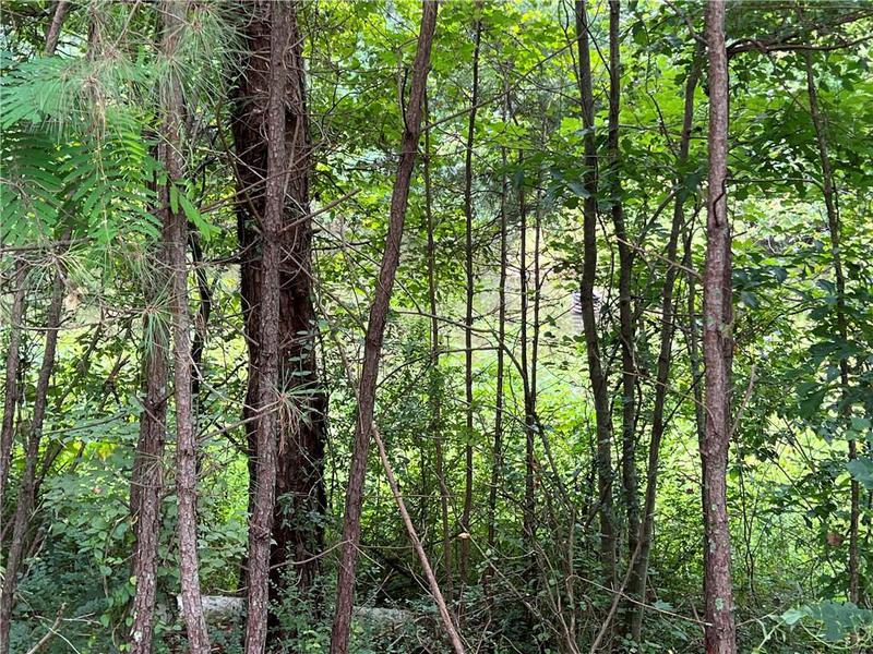 Image for property 0 Pinyan Road, Ranger, GA 30734