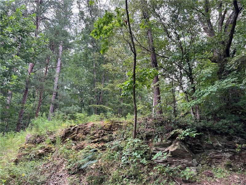 Image for property 0 Pinyan Road, Ranger, GA 30734