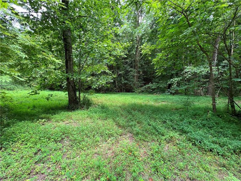 Image for property 0 Pinyan Road, Ranger, GA 30734