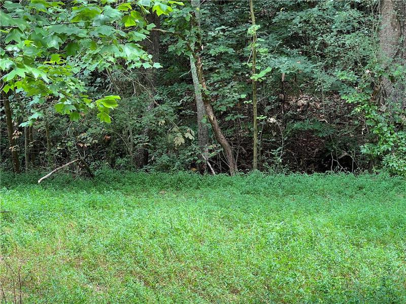 Image for property 0 Pinyan Road, Ranger, GA 30734