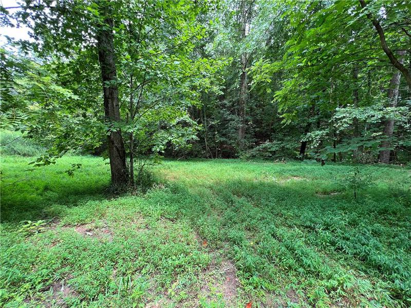 Image for property 0 Pinyan Road, Ranger, GA 30734