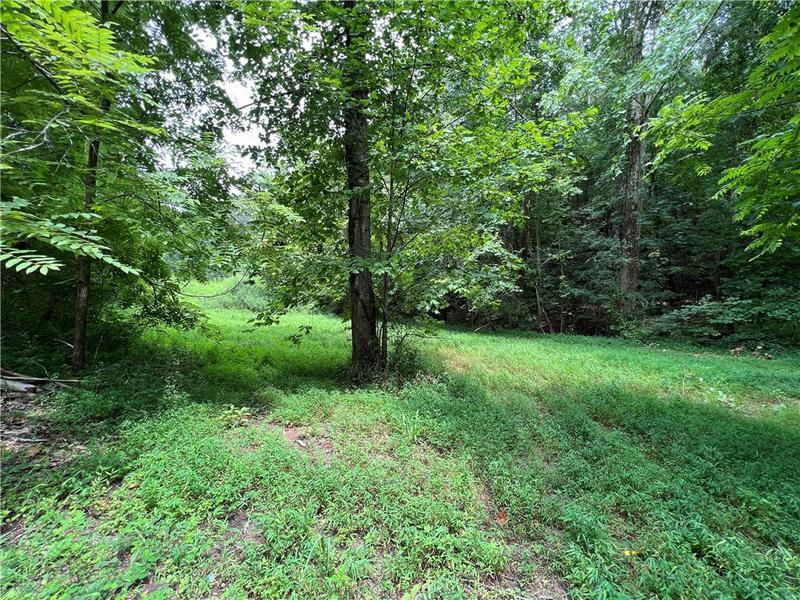 Image for property 0 Pinyan Road, Ranger, GA 30734