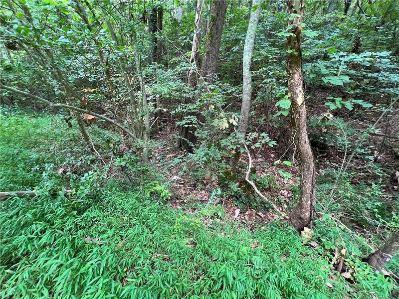 Image for property 0 Pinyan Road, Ranger, GA 30734