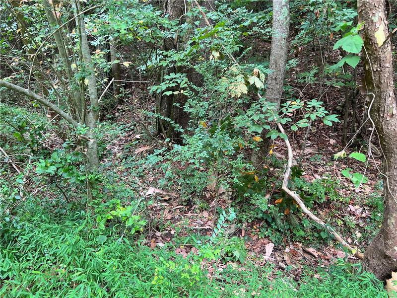Image for property 0 Pinyan Road, Ranger, GA 30734