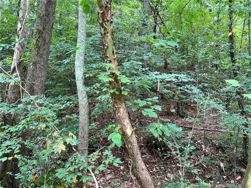 Image for property 0 Pinyan Road, Ranger, GA 30734
