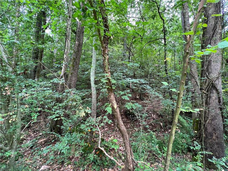 Image for property 0 Pinyan Road, Ranger, GA 30734