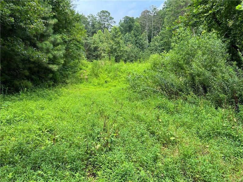 Image for property 0 Pinyan Road, Ranger, GA 30734