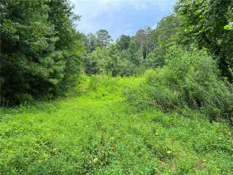 Image for property 0 Pinyan Road, Ranger, GA 30734