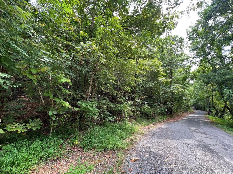 Image for property 0 Pinyan Road, Ranger, GA 30734