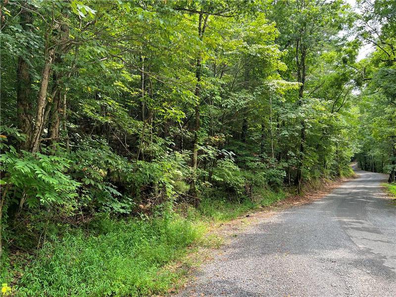 Image for property 0 Pinyan Road, Ranger, GA 30734
