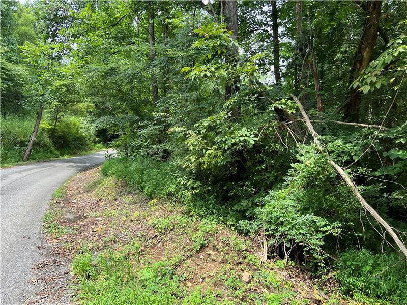 Image for property 0 Pinyan Road, Ranger, GA 30734