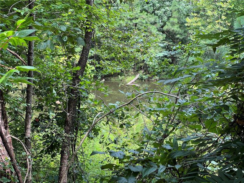 Image for property 0 Pinyan Road, Ranger, GA 30734