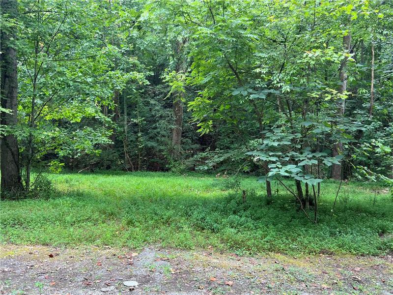 Image for property 0 Pinyan Road, Ranger, GA 30734