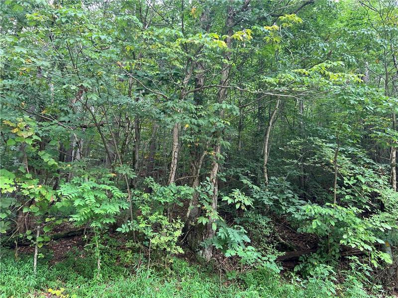 Image for property 0 Pinyan Road, Ranger, GA 30734