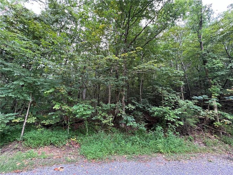 Image for property 0 Pinyan Road, Ranger, GA 30734