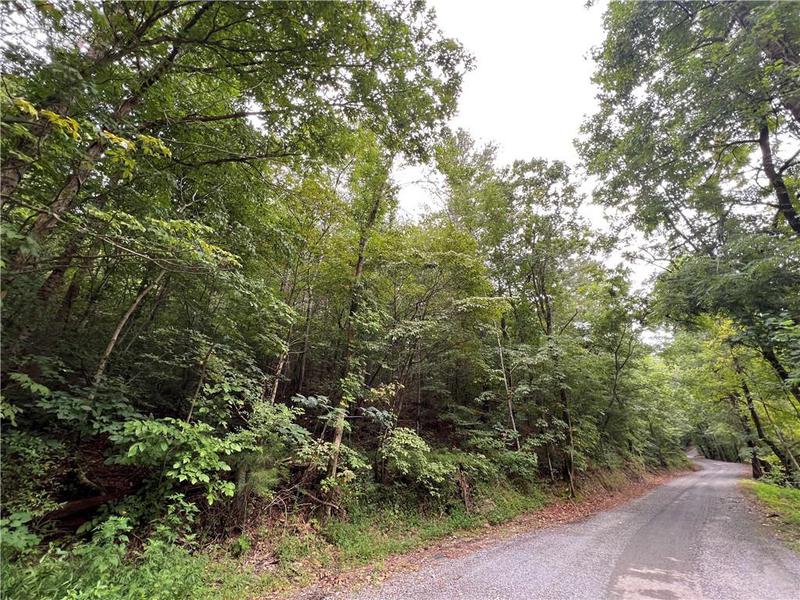 Image for property 0 Pinyan Road, Ranger, GA 30734