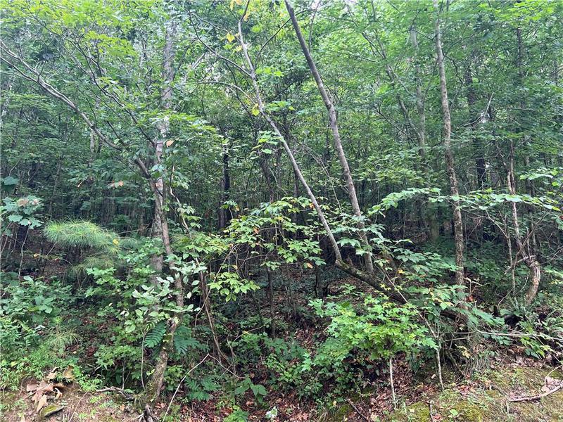 Image for property 0 Pinyan Road, Ranger, GA 30734