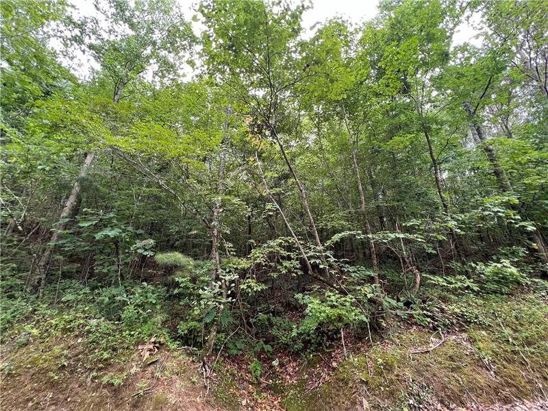 Image for property 0 Pinyan Road, Ranger, GA 30734