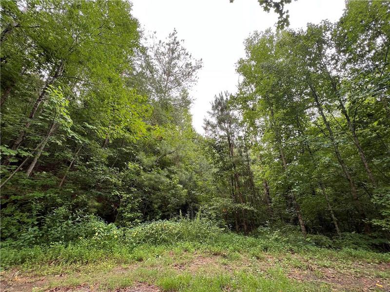 Image for property 0 Pinyan Road, Ranger, GA 30734