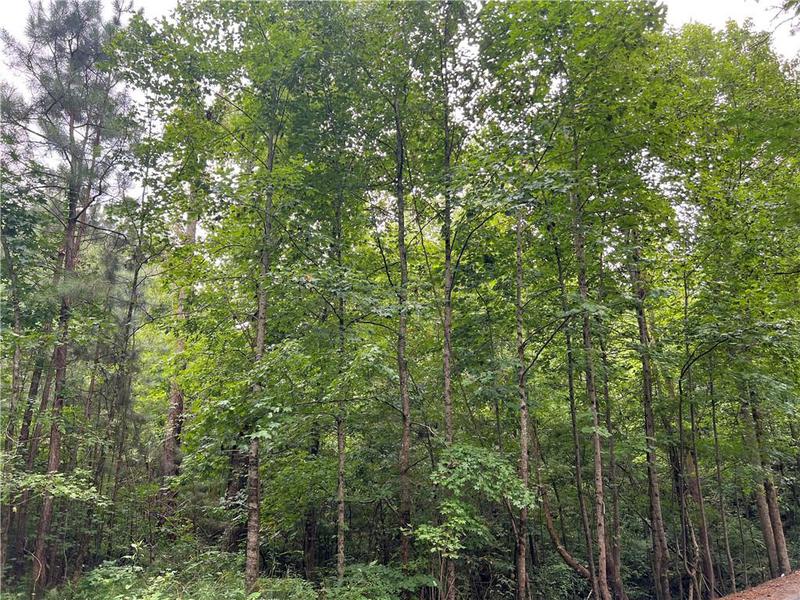 Image for property 0 Pinyan Road, Ranger, GA 30734