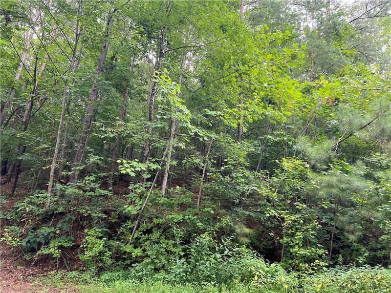 Image for property 0 Pinyan Road, Ranger, GA 30734