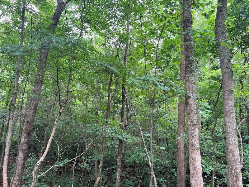 Image for property 0 Pinyan Road, Ranger, GA 30734