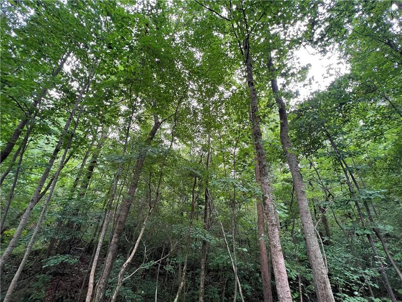 Image for property 0 Pinyan Road, Ranger, GA 30734