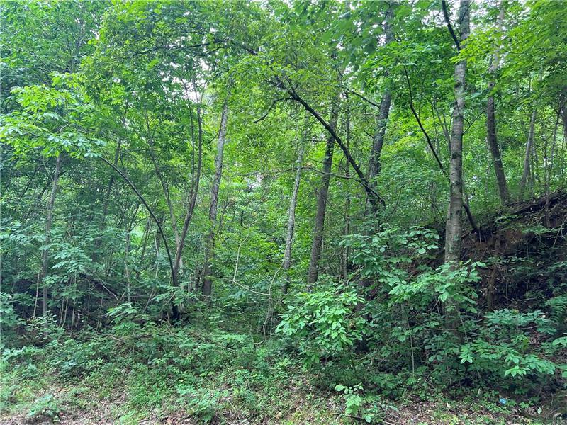Image for property 0 Pinyan Road, Ranger, GA 30734