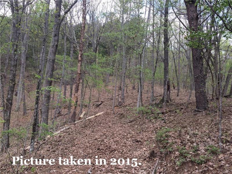 Image for property 0 Pinyan Road, Ranger, GA 30734