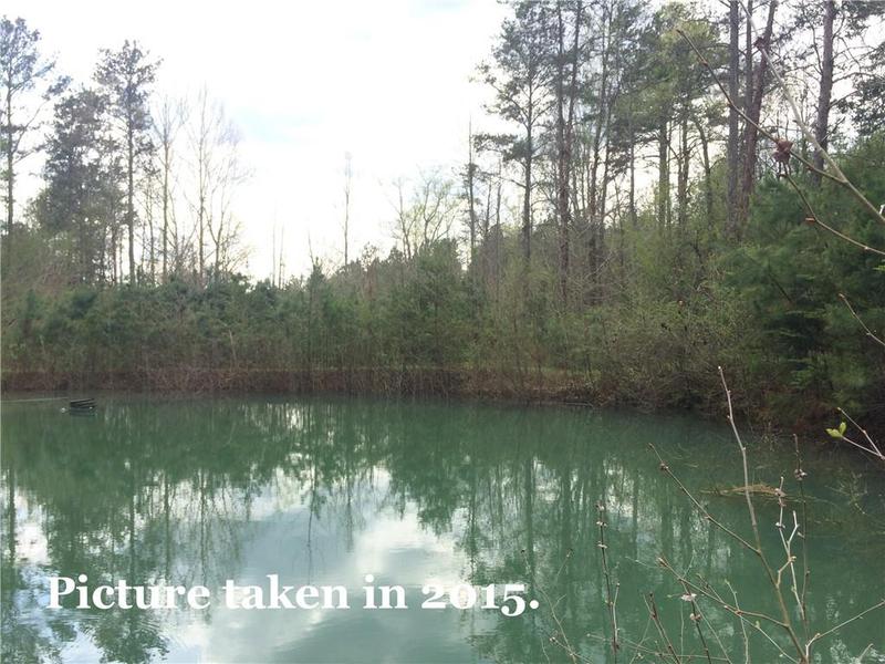 Image for property 0 Pinyan Road, Ranger, GA 30734
