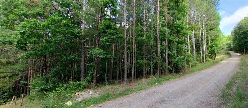 Image for property 0 Hawthorne Hill, Jasper, GA 30143